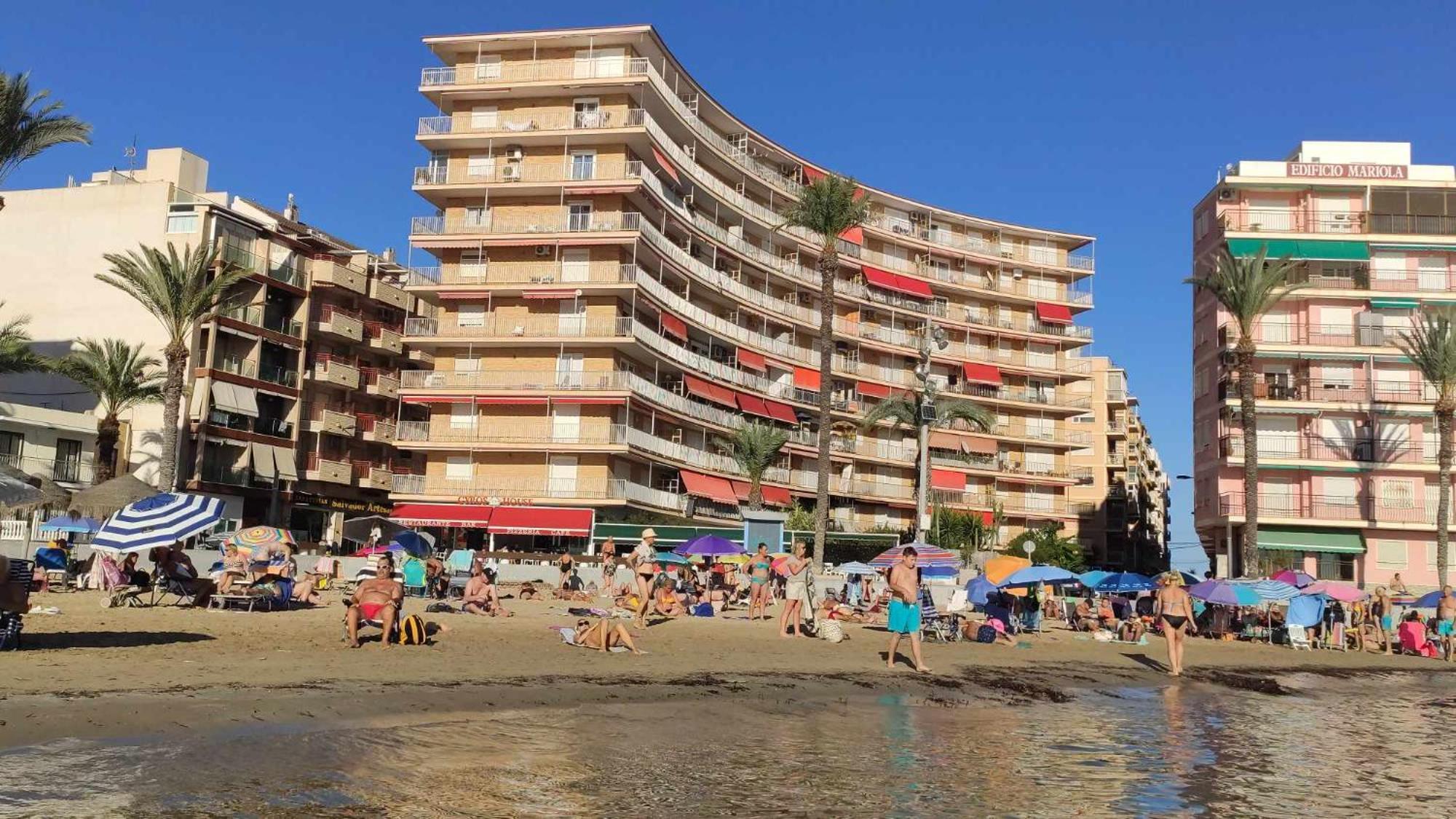 Garden Beach Apartment 托雷维耶哈 外观 照片
