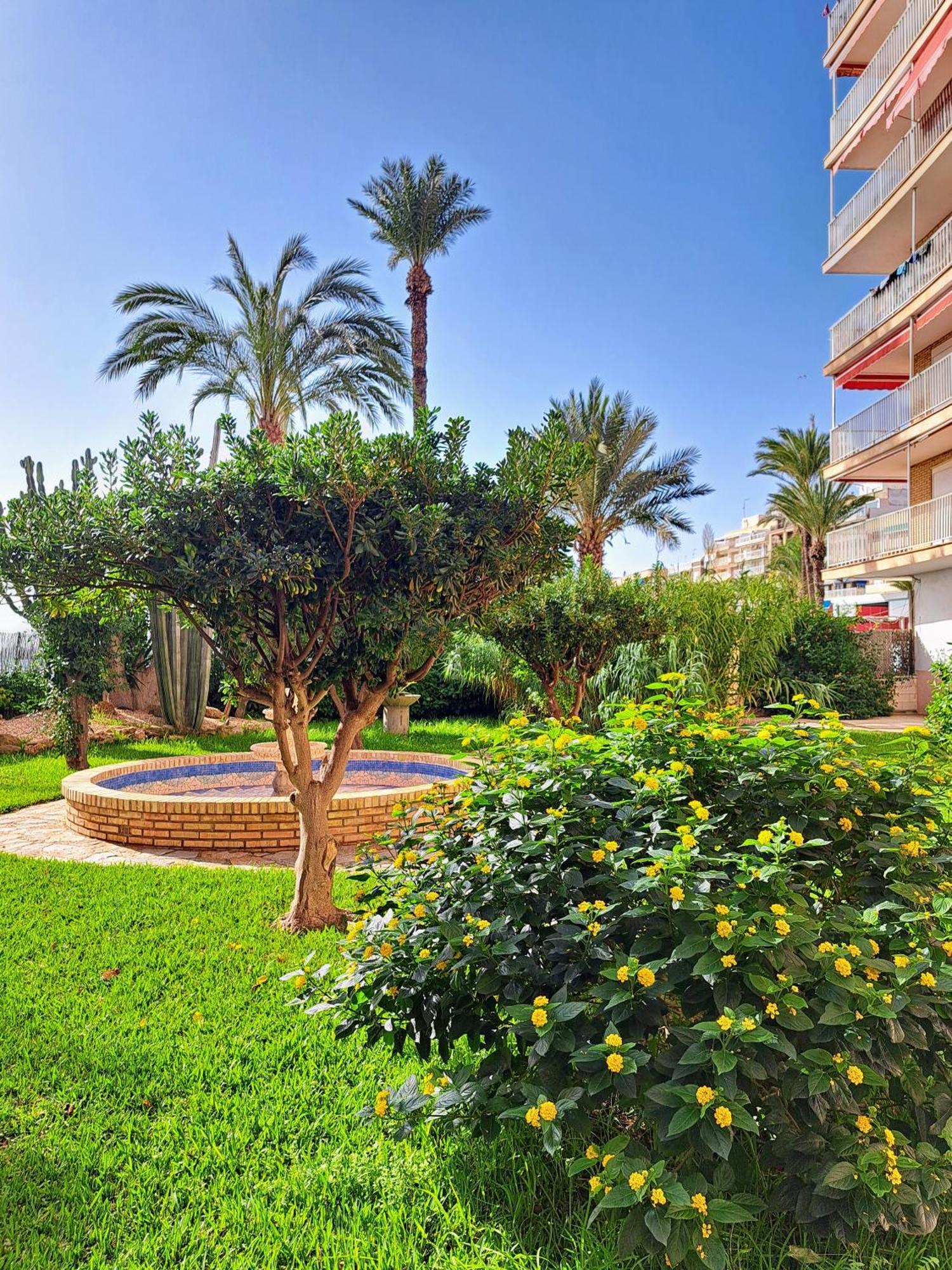 Garden Beach Apartment 托雷维耶哈 外观 照片